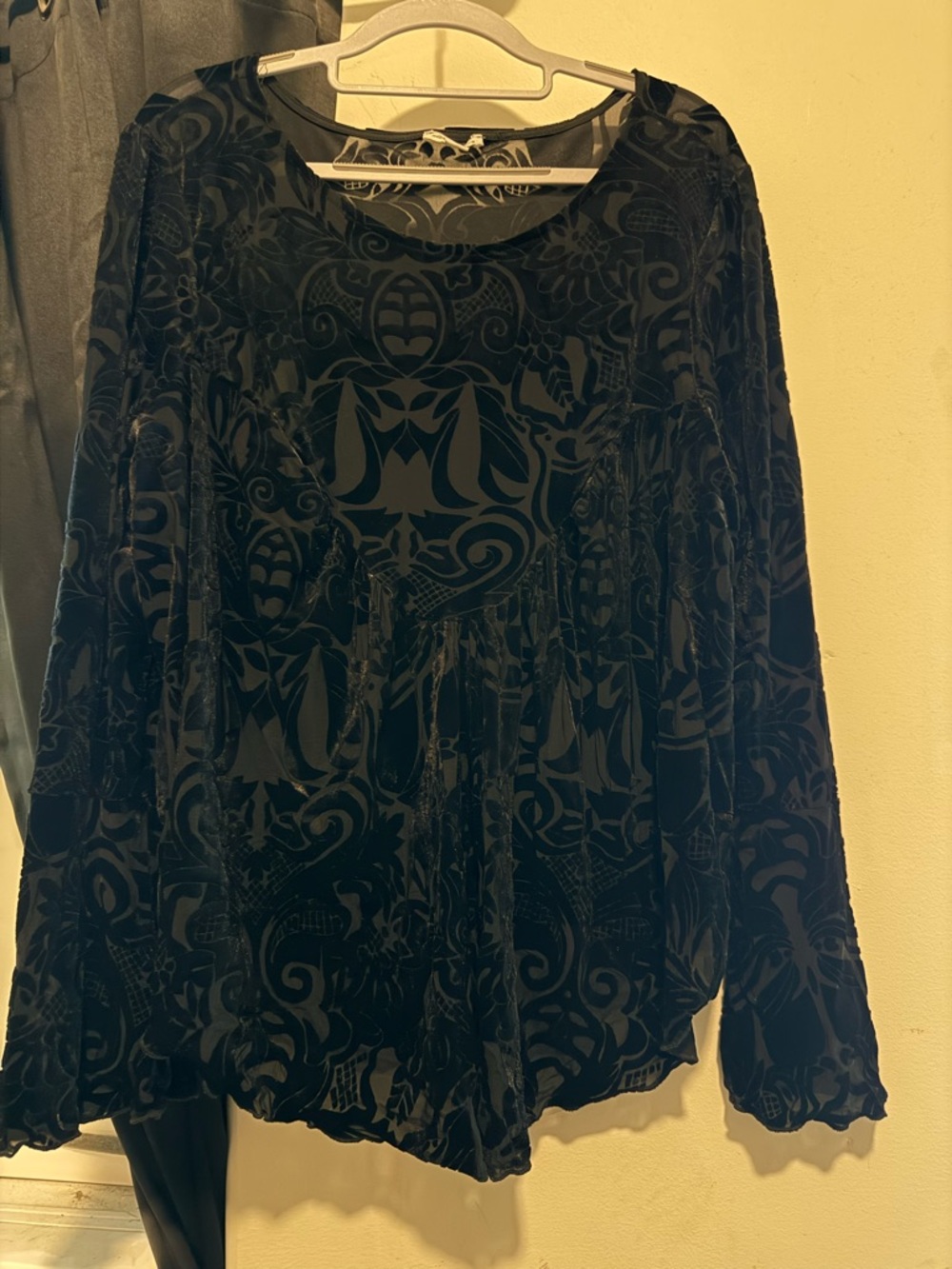 Black sheer Velvet Burnout Long-Sleeve Top